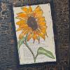 Sonnenblume-auf-Goethes-Faust
